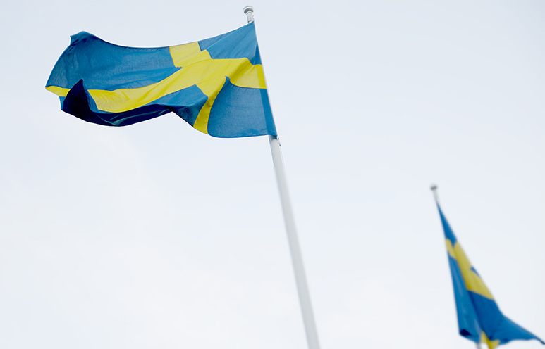 Svenska flaggan.jpg
